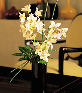  rnak online iek gnderme sipari  cam yada mika vazo ierisinde dal orkide