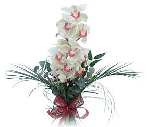  rnak internetten iek siparii  Dal orkide ithal iyi kalite