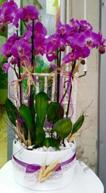 Seramik vazoda 4 dall mor lila orkide  rnak uluslararas iek gnderme 