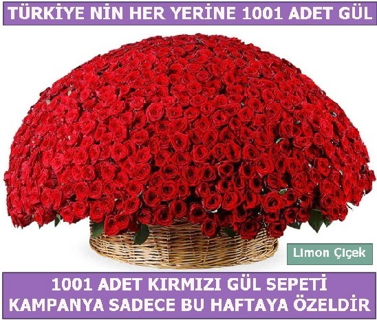 1001 Adet kırmızı gül Bu haftaya özel  Şırnak çiçek gönderme 