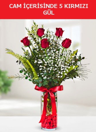 Cam içerisinde 5 adet kırmızı gül  Şırnak internetten çiçek siparişi 
