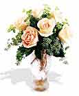  Şırnak internetten çiçek siparişi  6 adet sari gül ve cam vazo