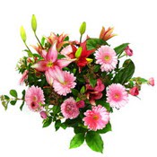 lilyum ve gerbera çiçekleri - çiçek seçimi -  Şırnak çiçek , çiçekçi , çiçekçilik 