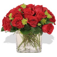  Şırnak ucuz çiçek gönder  10 adet kirmizi gül ve cam yada mika vazo
