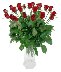  Şırnak ucuz çiçek gönder  11 adet kimizi gülün ihtisami cam yada mika vazo modeli