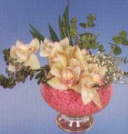  Şırnak yurtiçi ve yurtdışı çiçek siparişi  Dal orkide kalite bir hediye