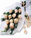  Şırnak hediye çiçek yolla  11 adet Somon renkli güller