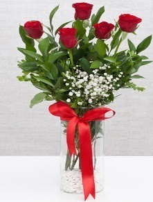 cam vazo içerisinde 5 adet kırmızı gül  Şırnak anneler günü çiçek yolla 
