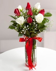 5 kırmızı 4 beyaz gül vazoda  Şırnak anneler günü çiçek yolla 