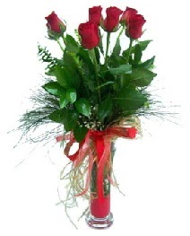 vazo içerisinde 5 kırmızı gül  Şırnak çiçek yolla , çiçek gönder , çiçekçi  