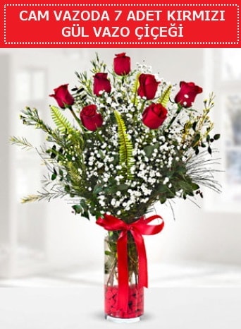Cam vazoda 7 adet kırmızı gül çiçeği  Şırnak çiçekçi telefonları 